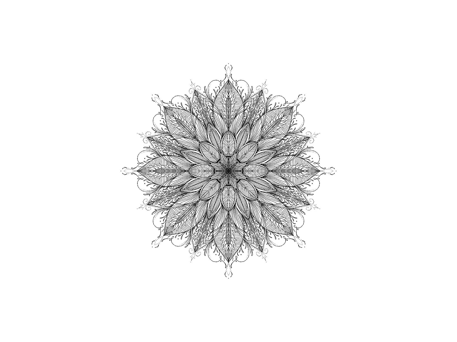Ornaments - image 3 - student project