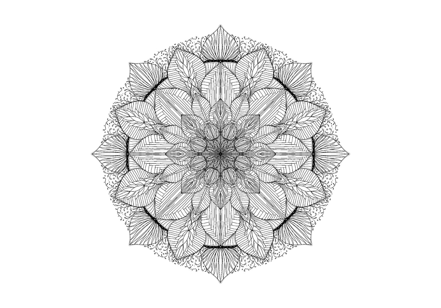 Ornaments - image 1 - student project