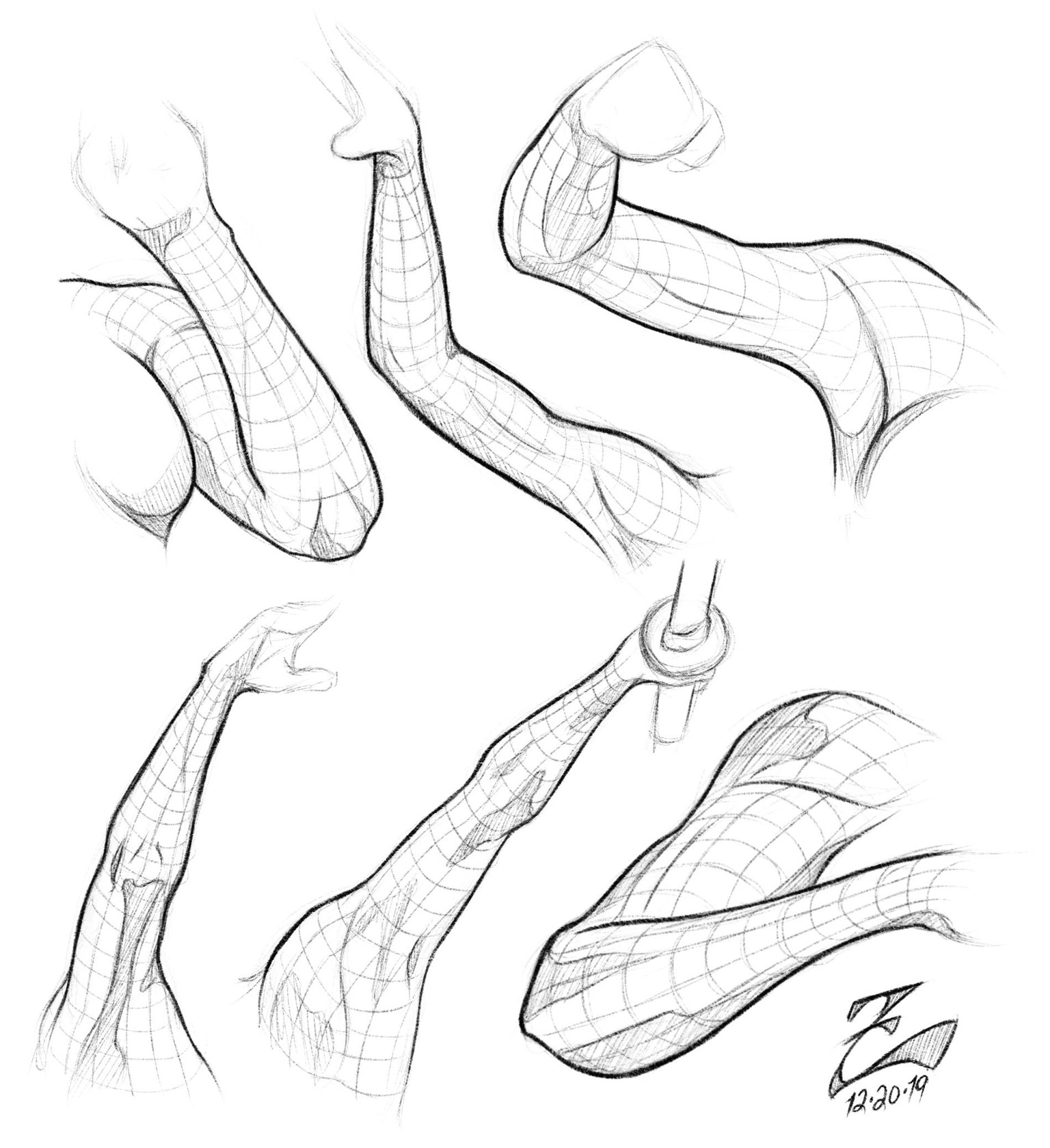Female Arm Study - image 4 - student project