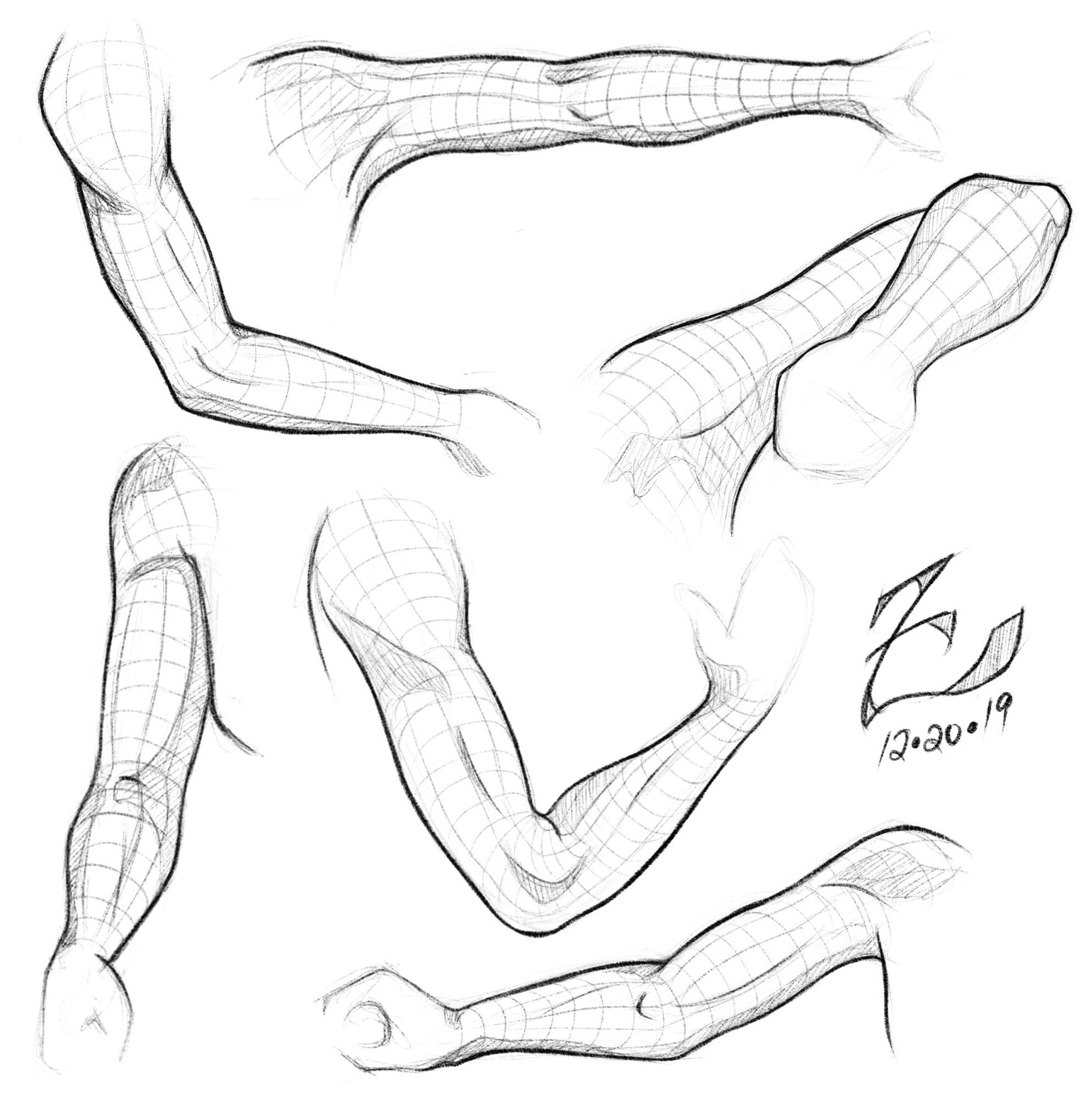 Female Arm Study - image 3 - student project