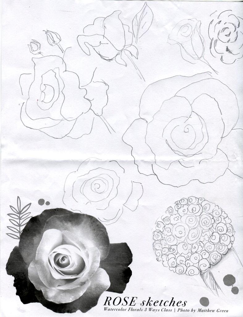 New flower painting on watercolor card - image 4 - student project
