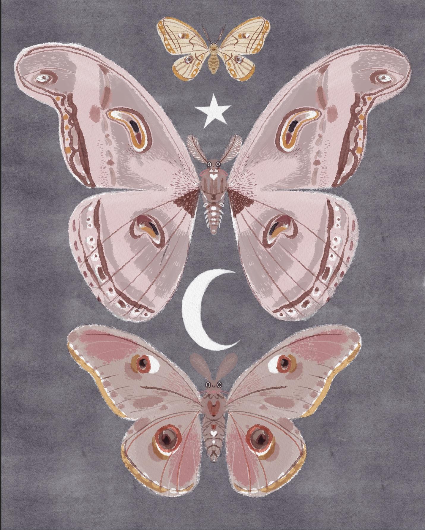 Autumn moths - image 1 - student project