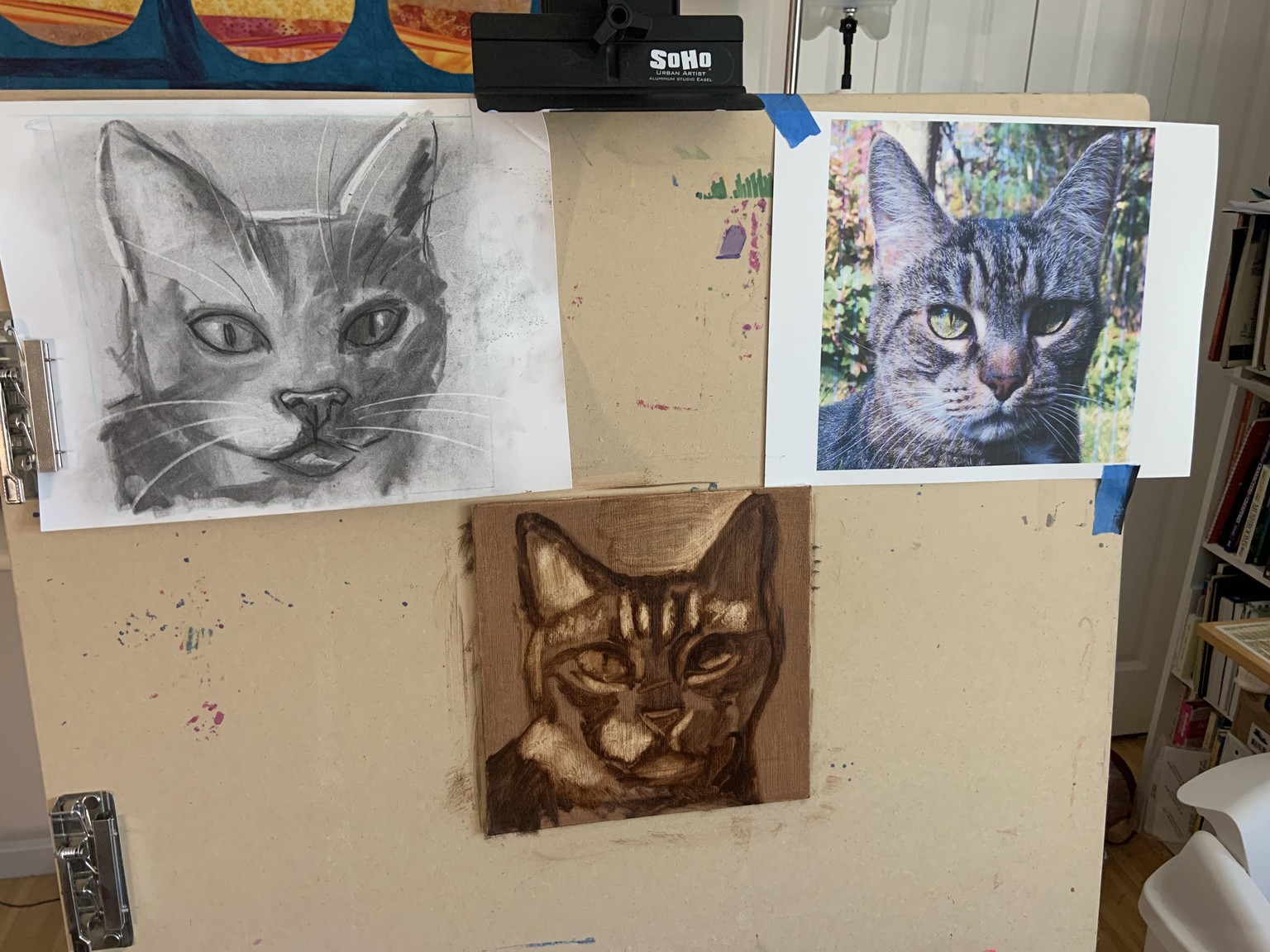 Outside cat - image 2 - student project
