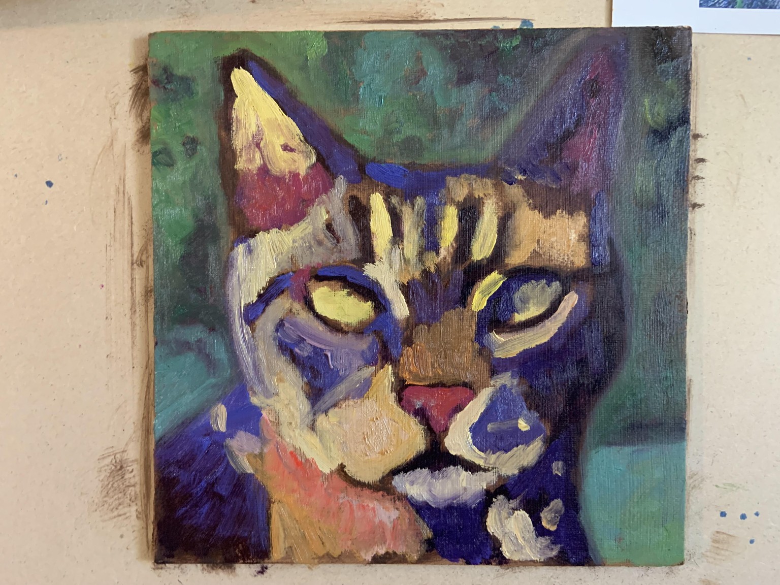 Outside cat - image 1 - student project