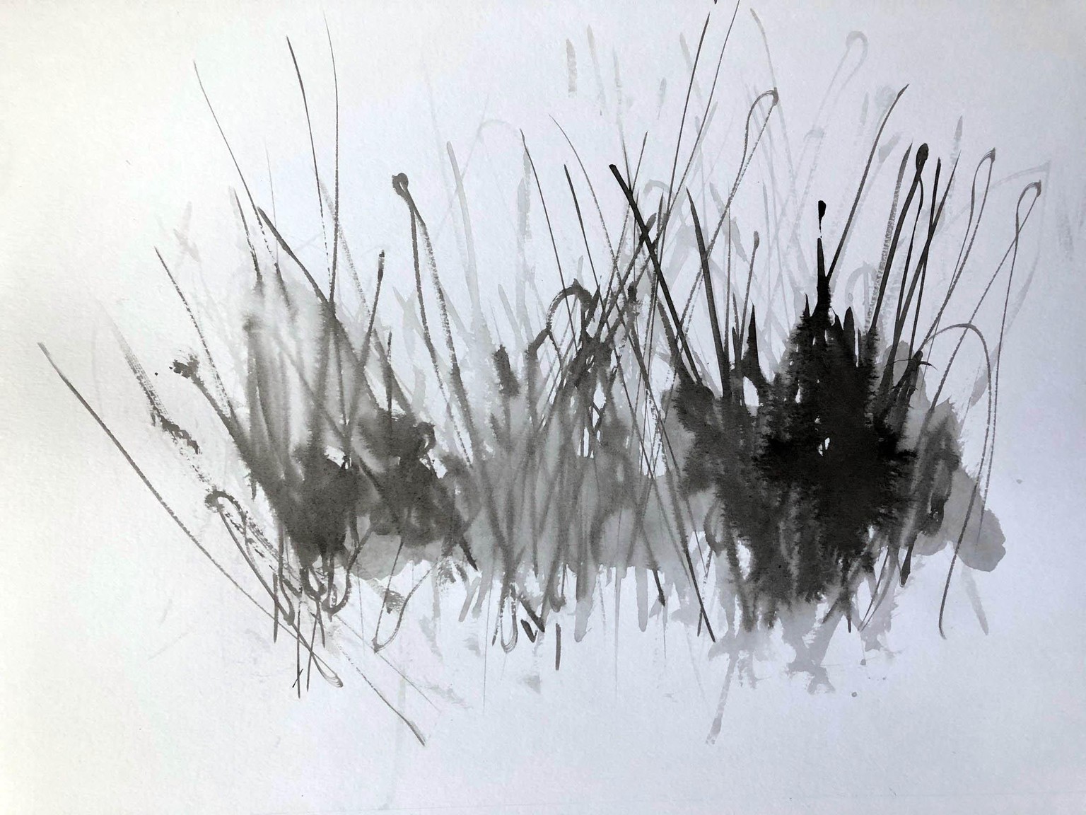 Expressive Brushwork - image 9 - student project