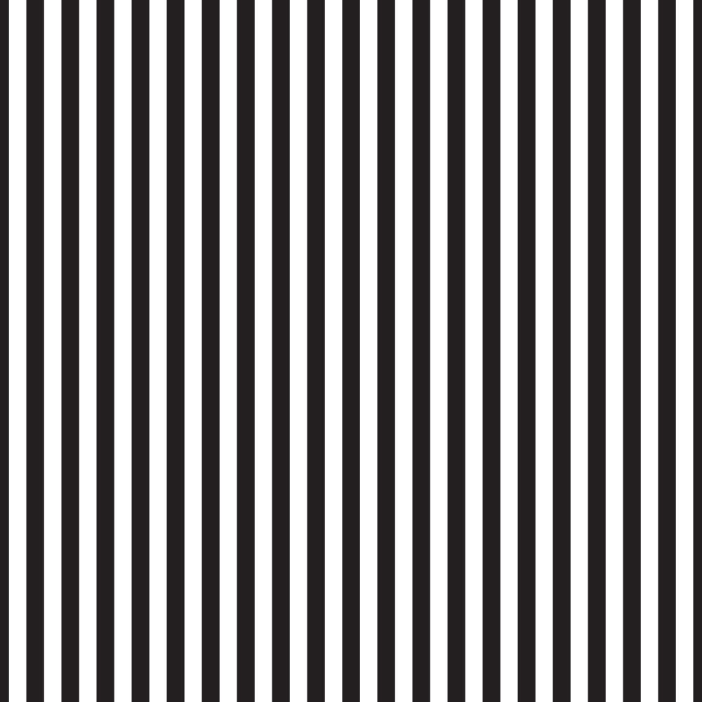 Stripes and Lines Teacher Example Project - image 1 - student project