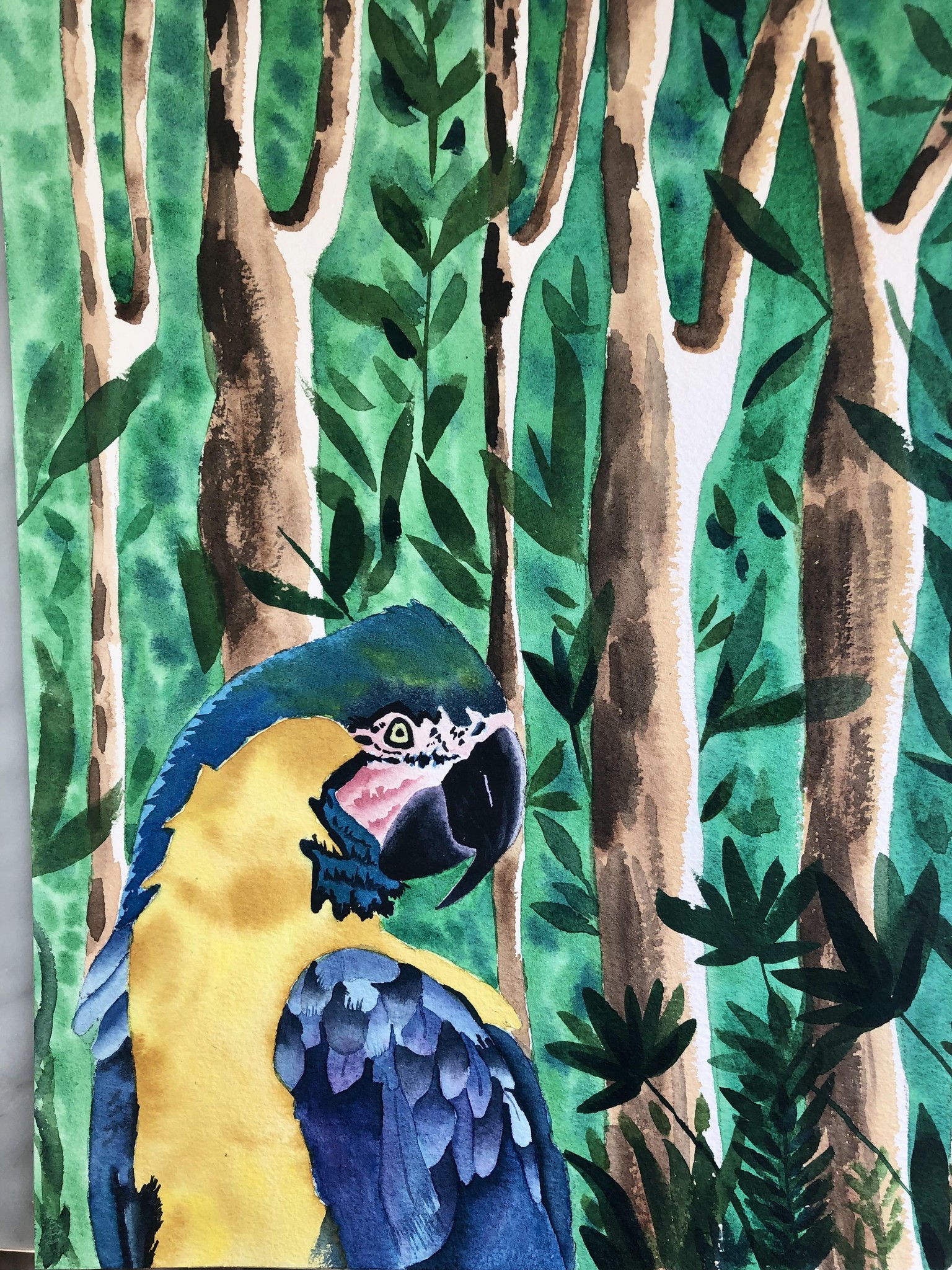 Parrot - image 2 - student project