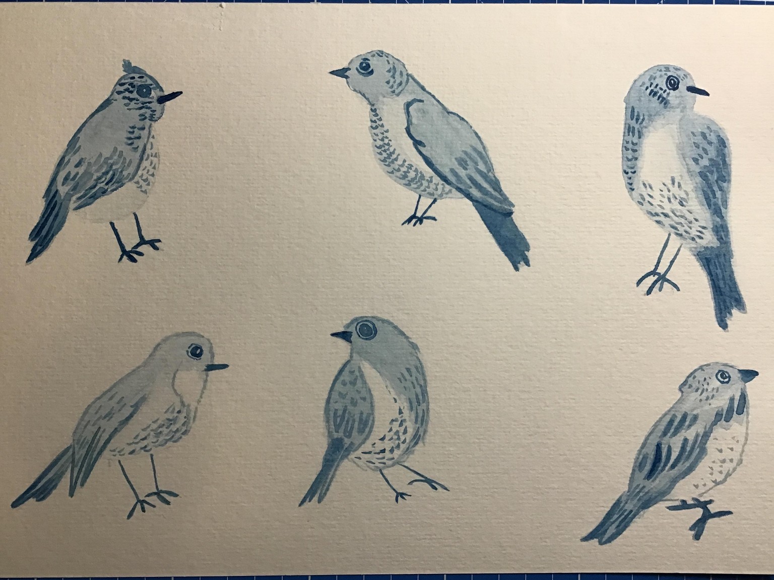 Monochrome Birds - image 1 - student project
