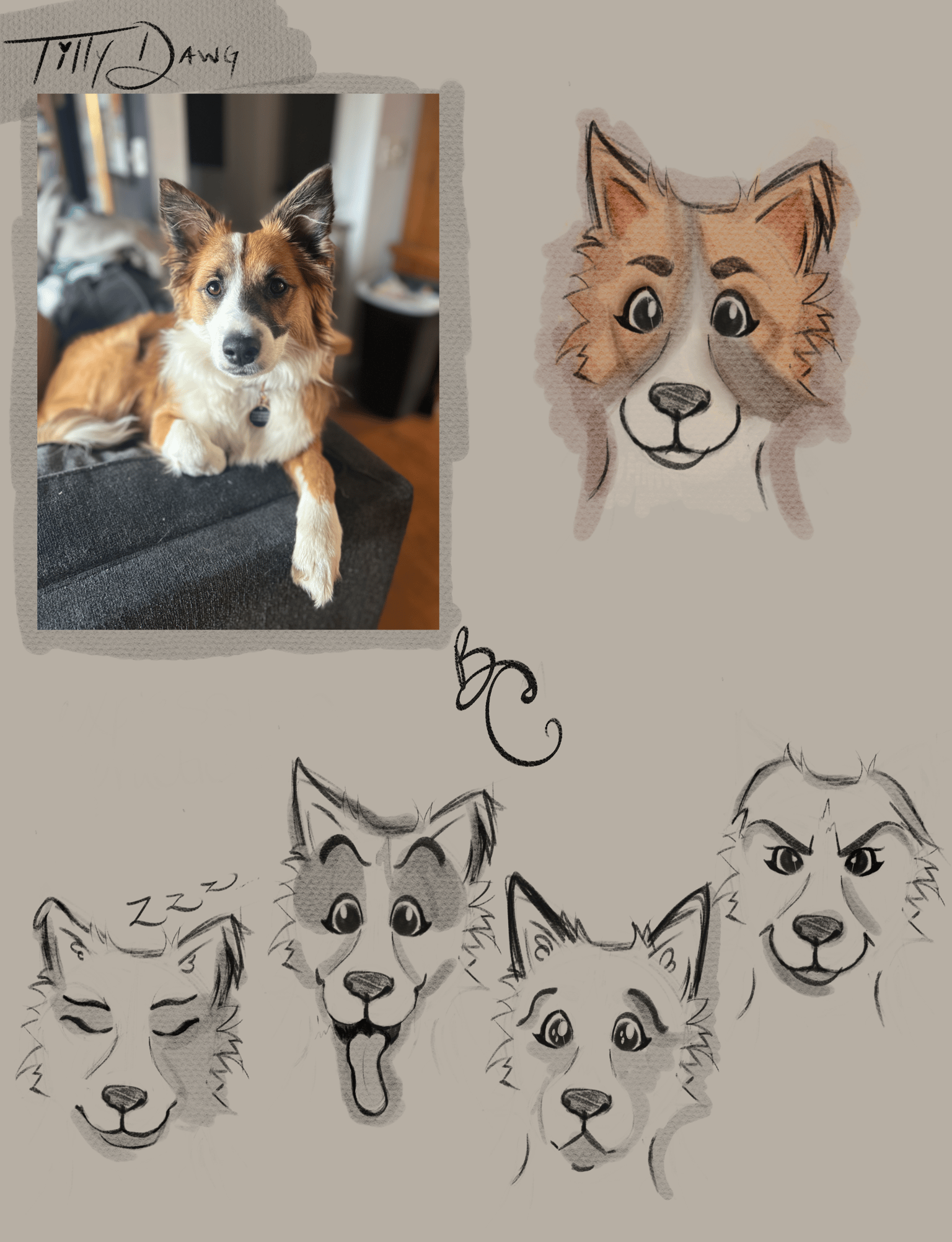 tilly dawg - image 1 - student project