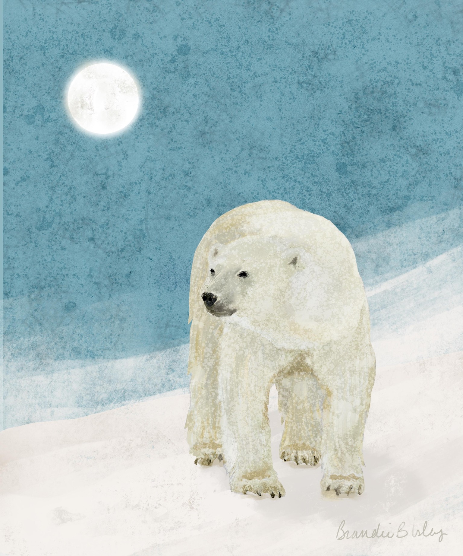One Polar bear - image 2 - student project