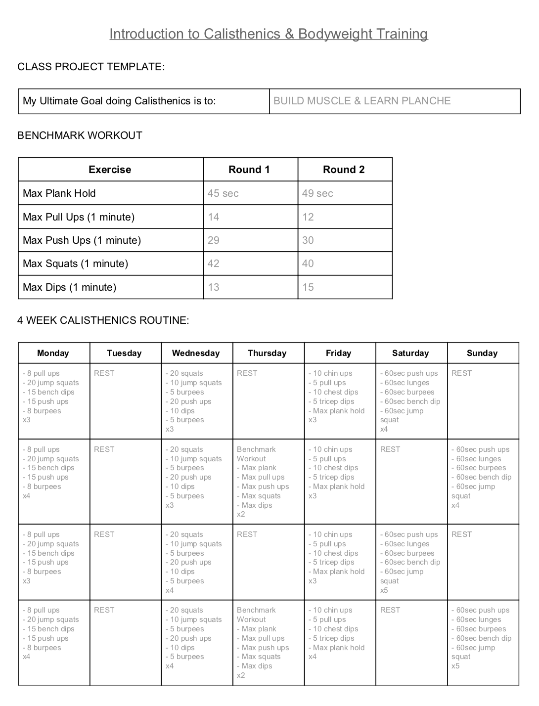Introduction to Calisthenics and Bodyweight Training (PLANNING) - image 1 - student project