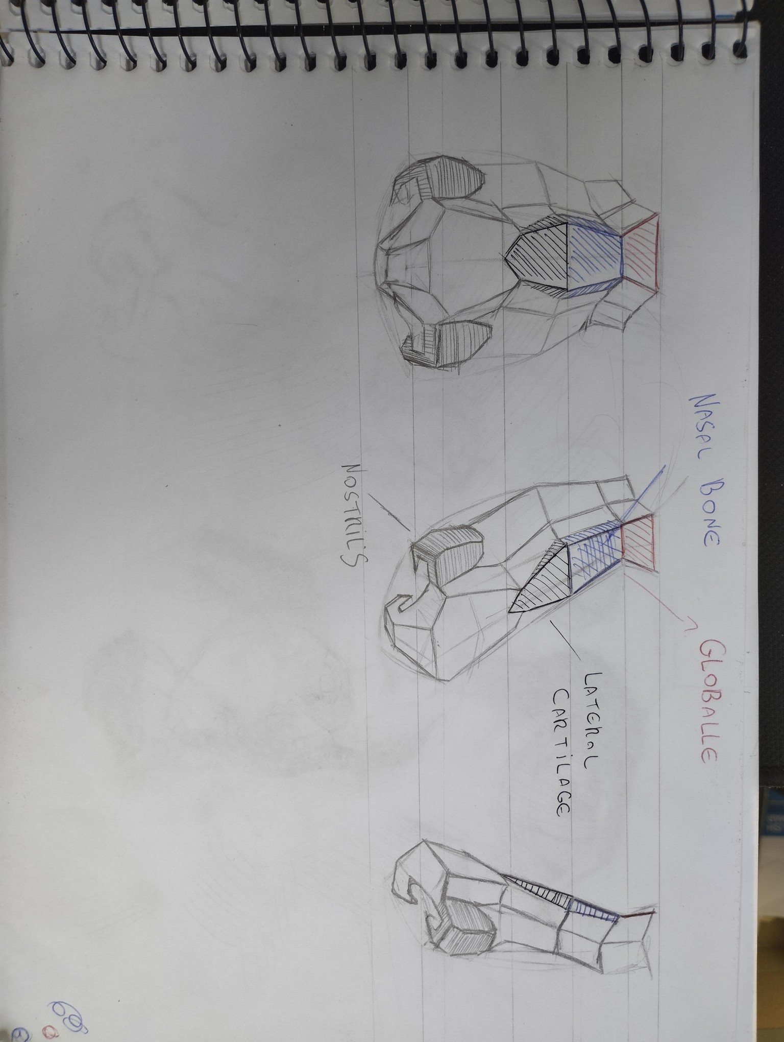 General Studies - image 4 - student project