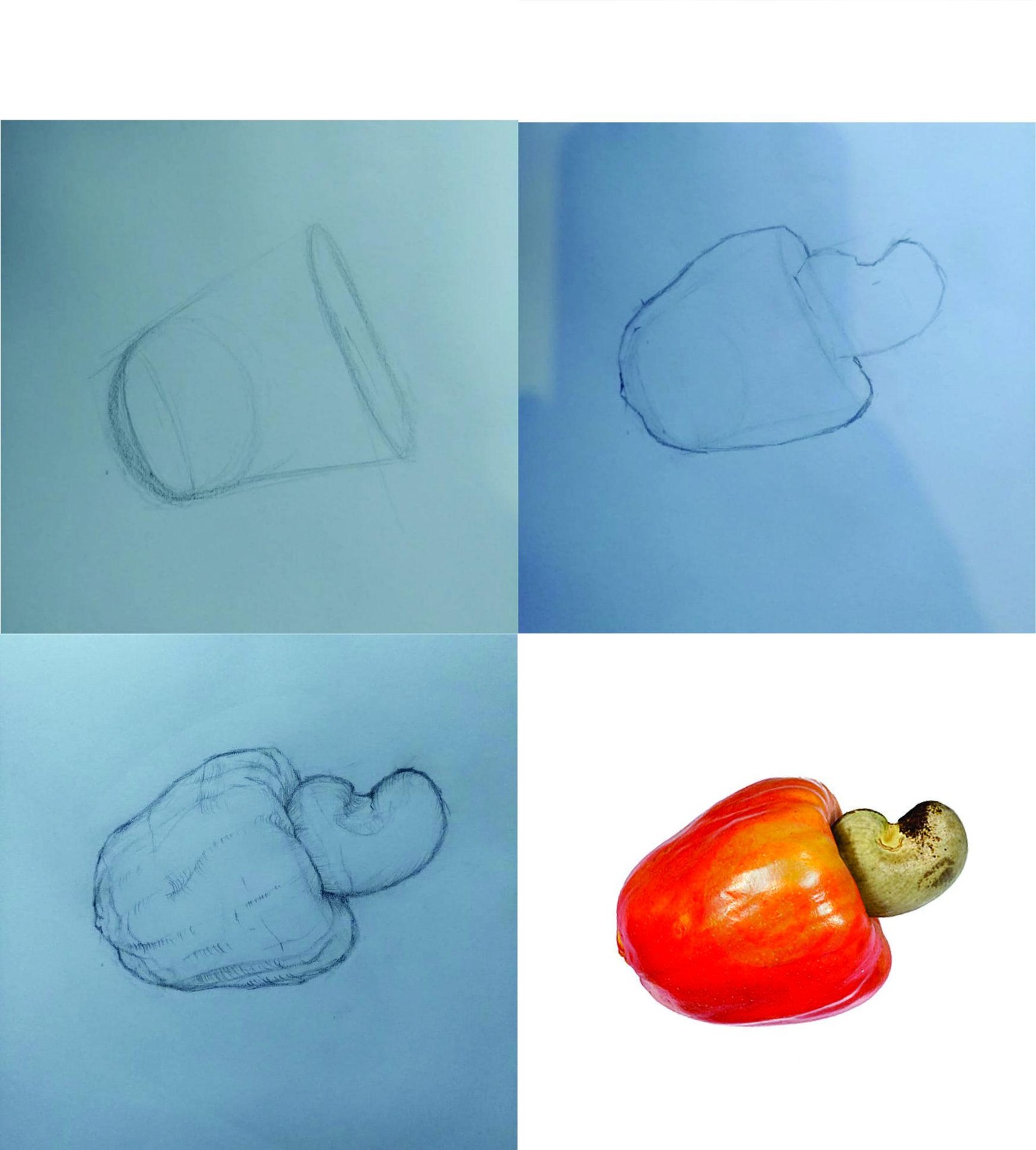 Projects and the process of each of them. - image 3 - student project