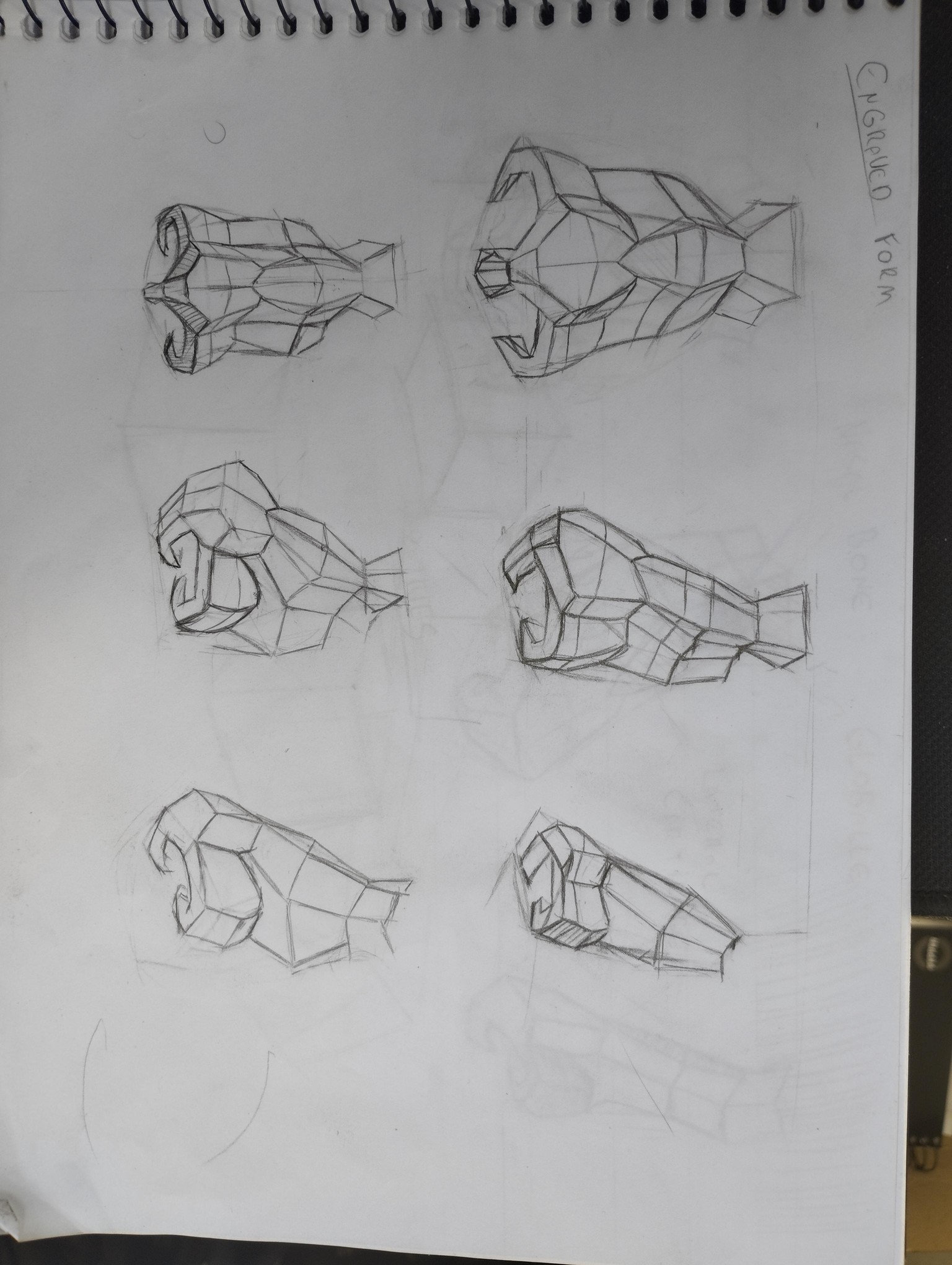 General Studies - image 1 - student project