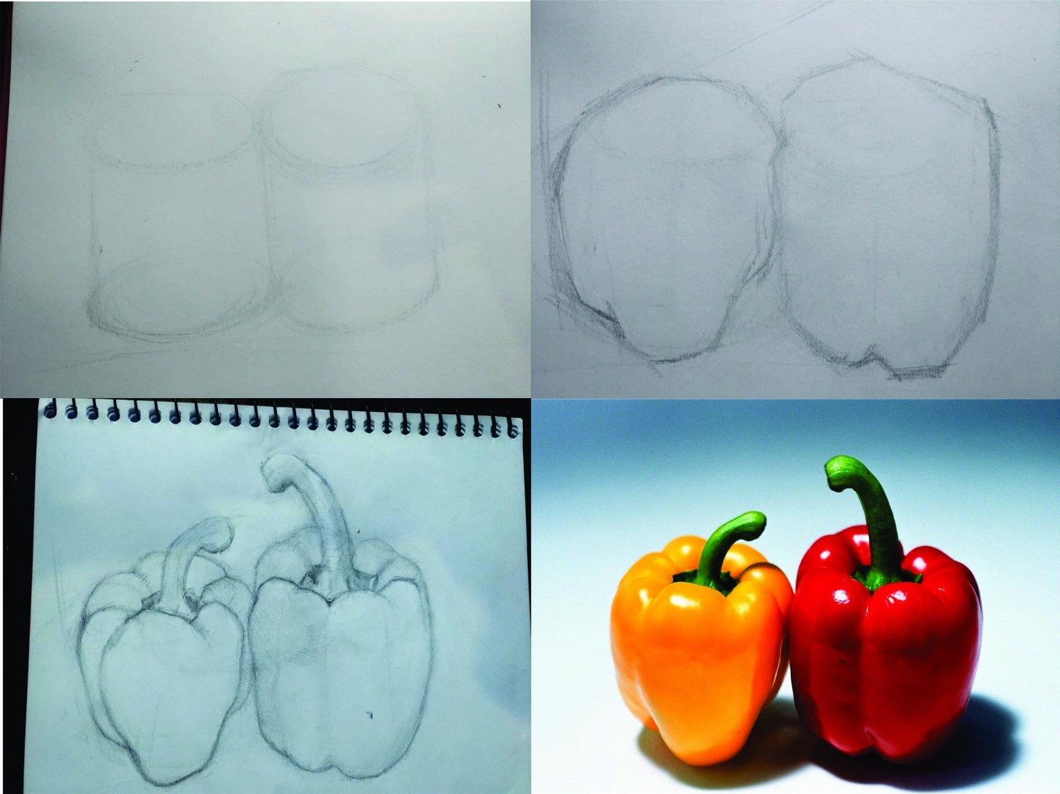 Projects and the process of each of them. - image 2 - student project