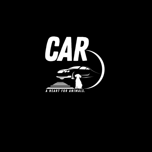 Car - image 2 - student project