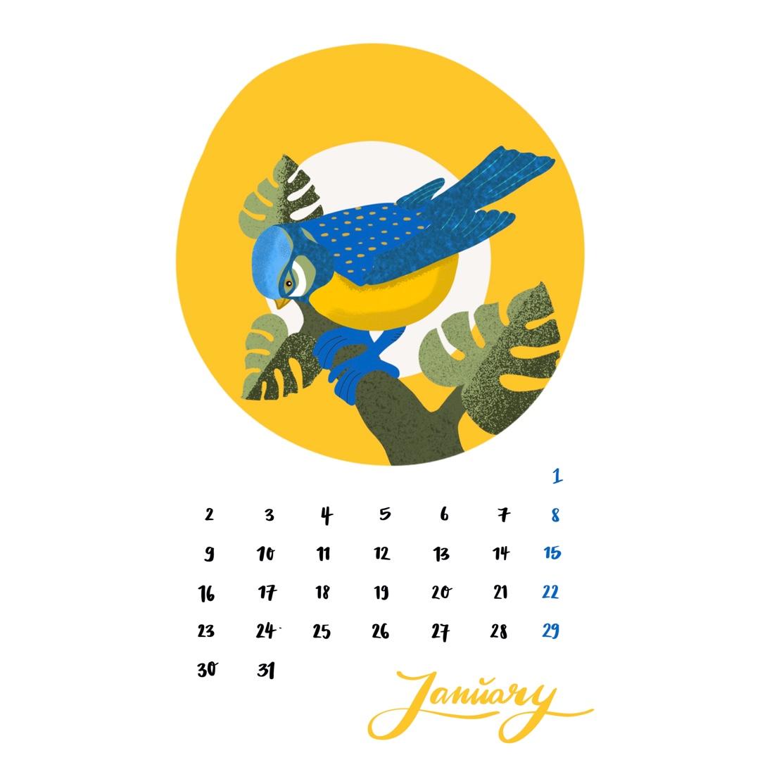 Early bird catches 2023 - image 1 - student project