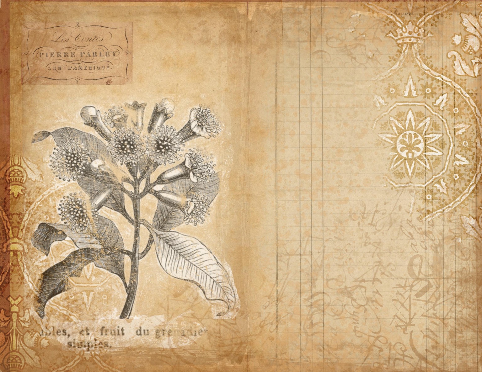 I love this process! - image 1 - student project