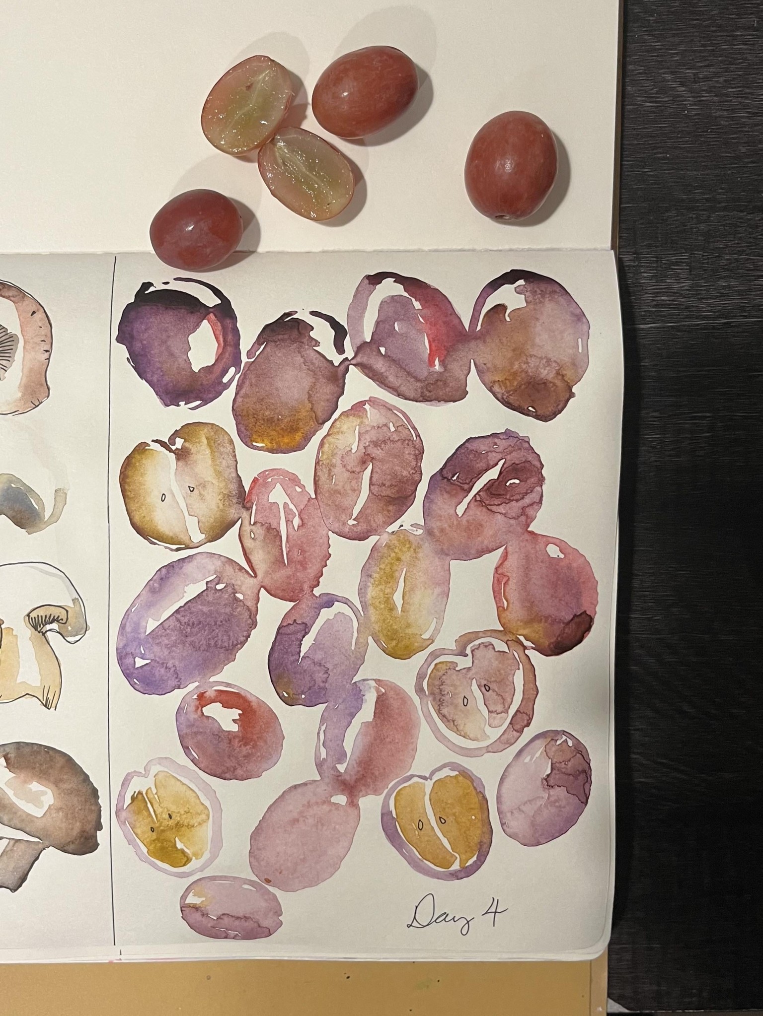 Imperfectly Perfect - loose watercolor - image 6 - student project