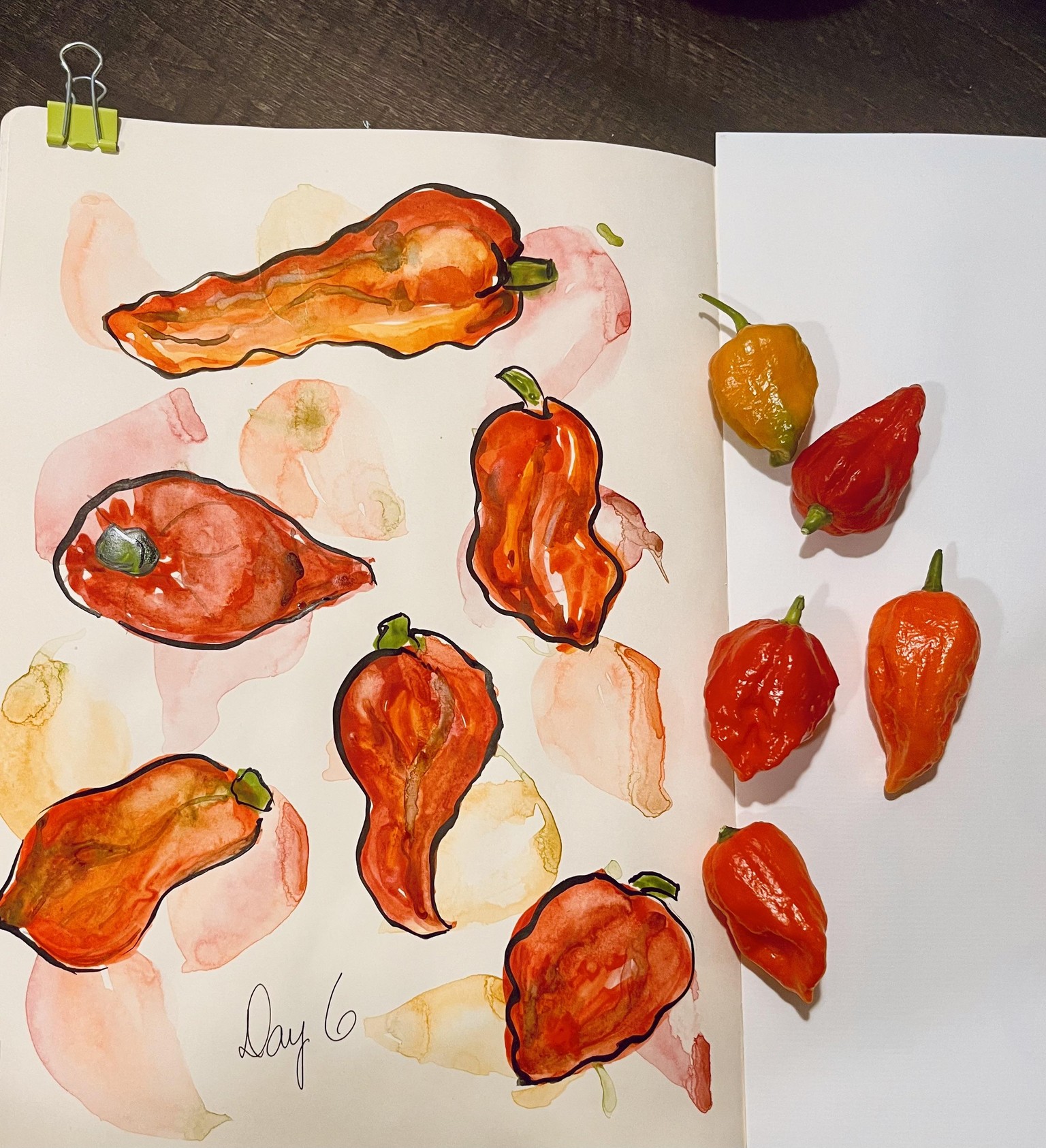 Imperfectly Perfect - loose watercolor - image 9 - student project