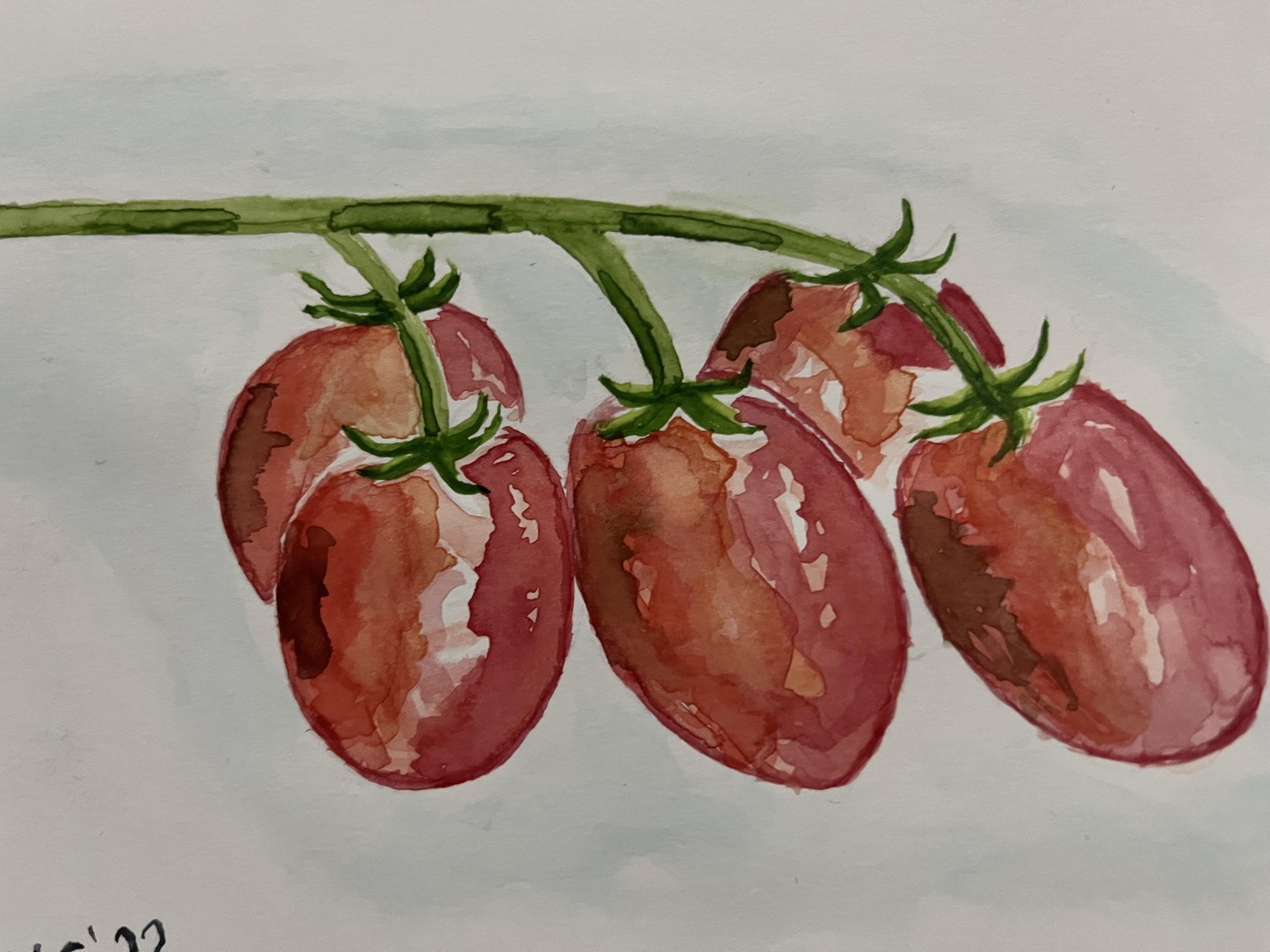 Trying watercolour - image 1 - student project