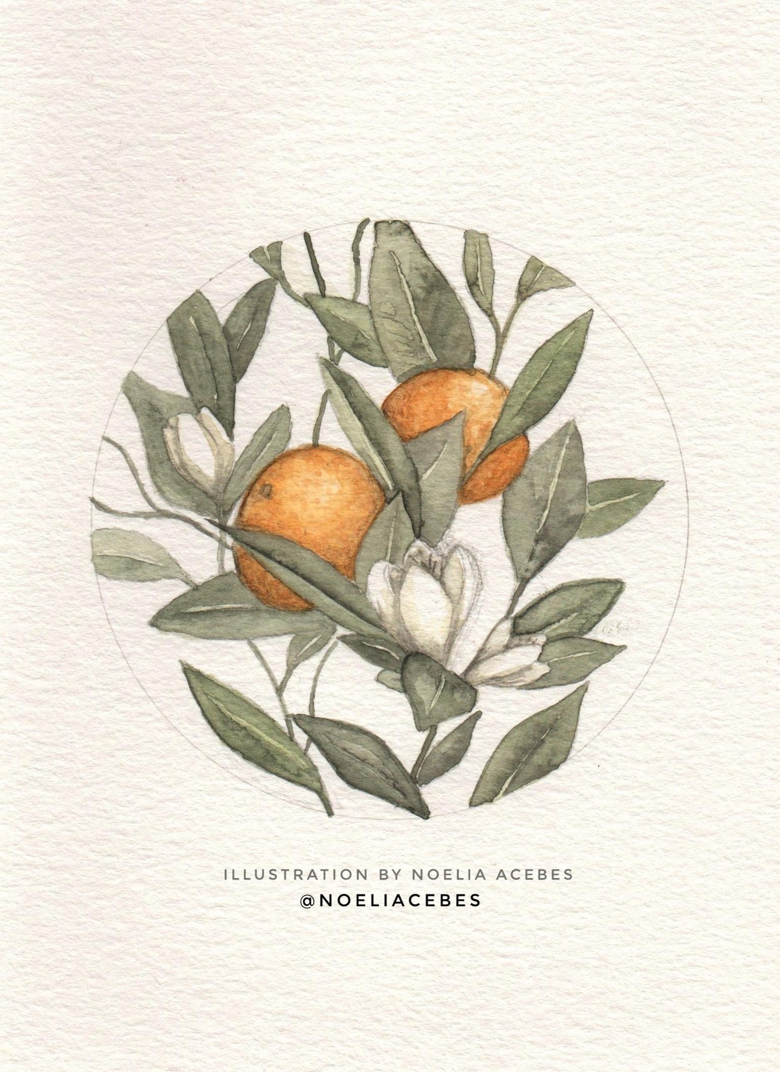 Orange Tree Illustration - image 1 - student project