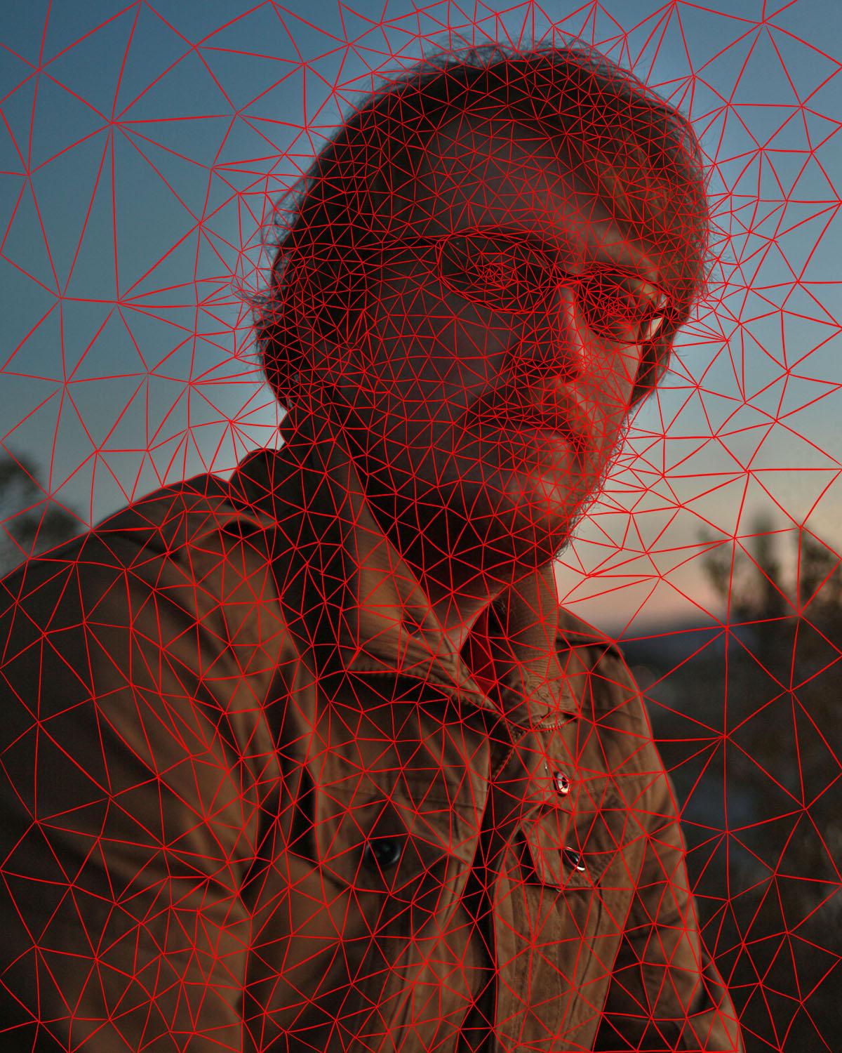 Low Poly Portrait of a dude - image 1 - student project