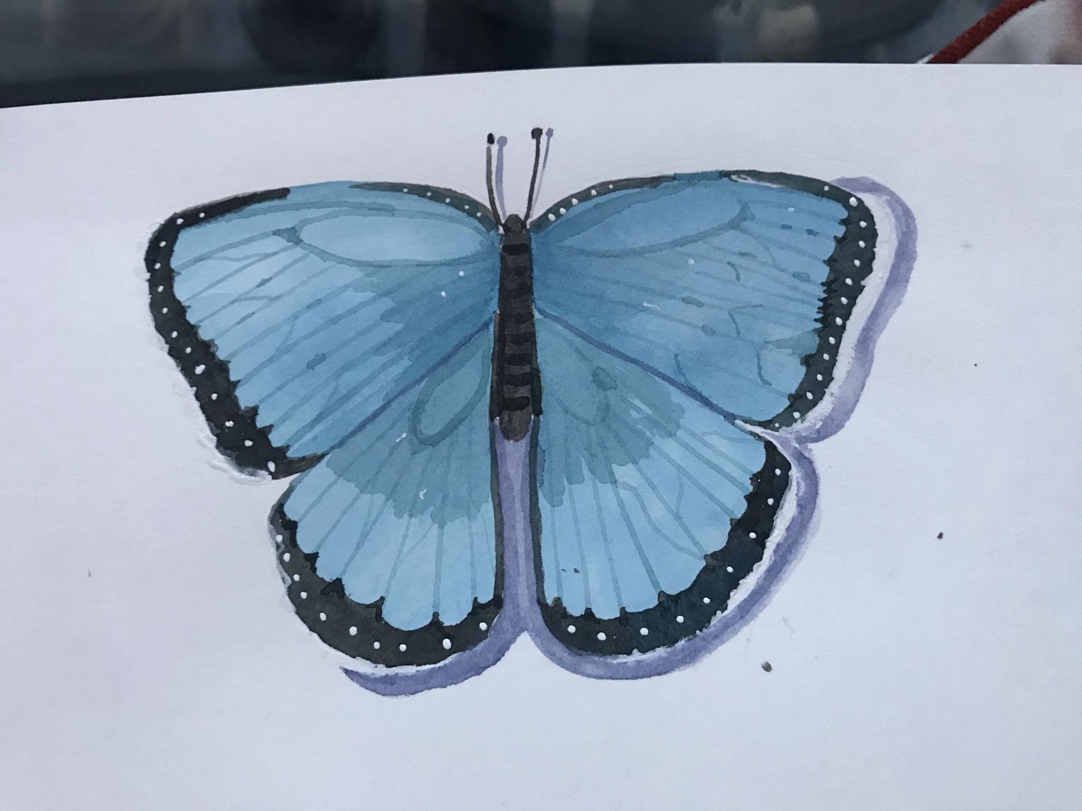 Fun class - image 1 - student project