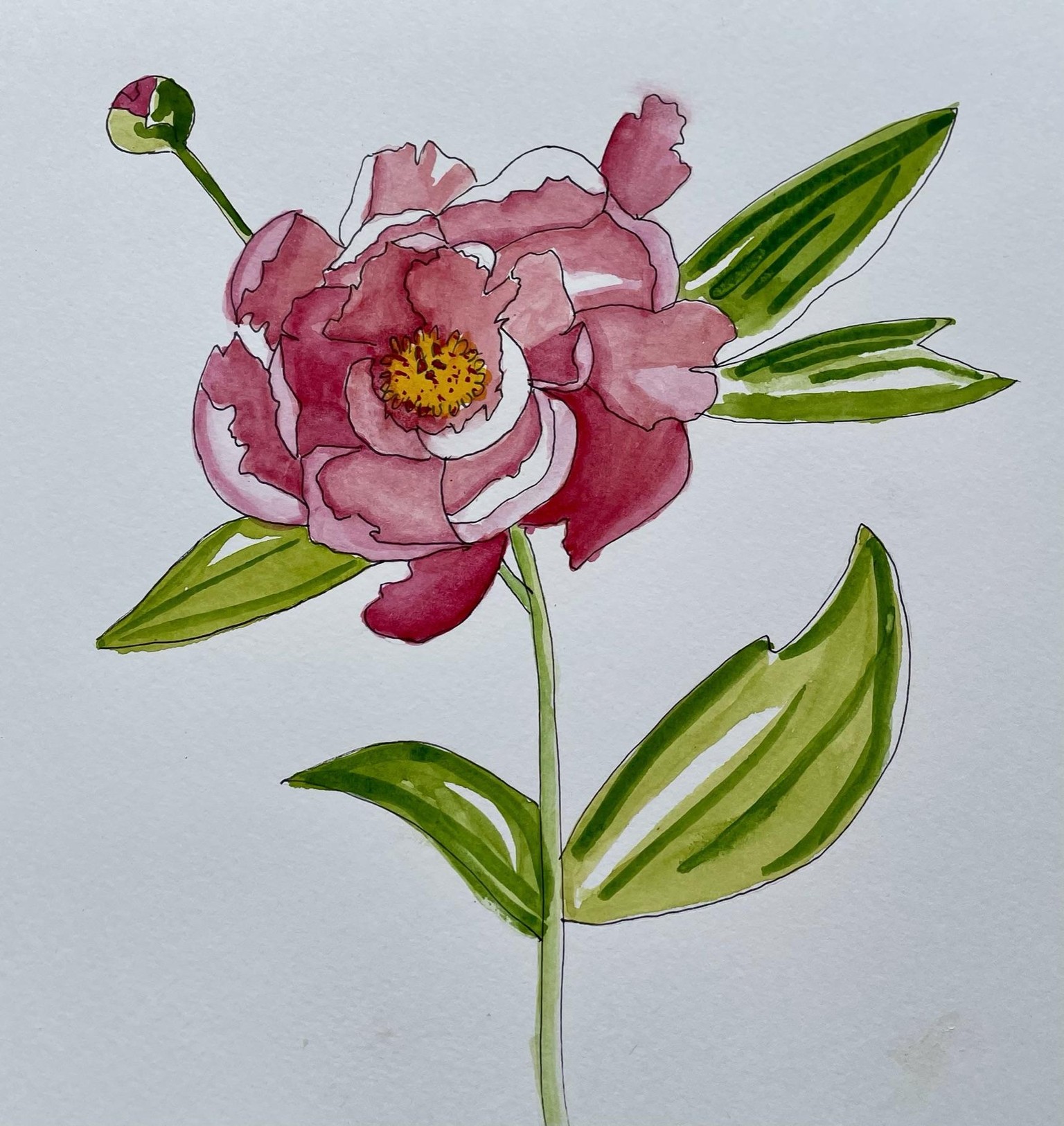 The peony in ink and watercolour was my favourite - image 3 - student project