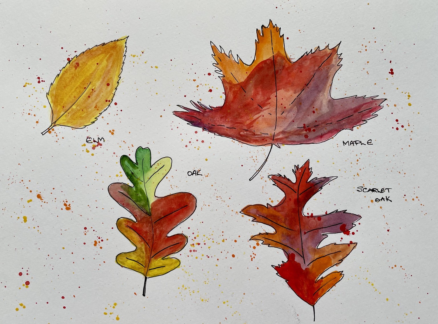 Fun but very instructive - image 1 - student project