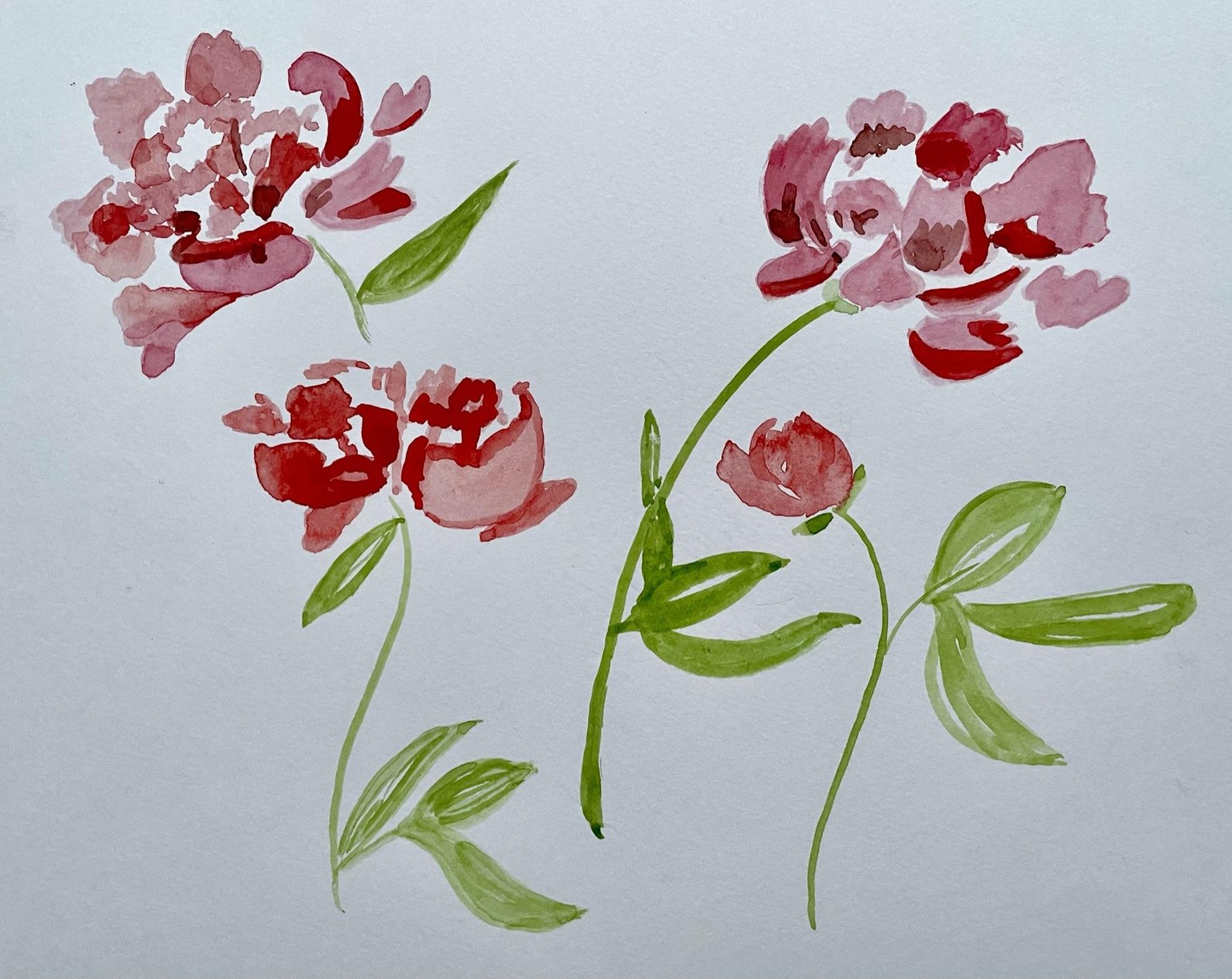 The peony in ink and watercolour was my favourite - image 1 - student project