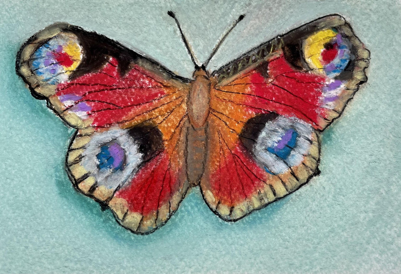 Beautiful butterfly - image 1 - student project