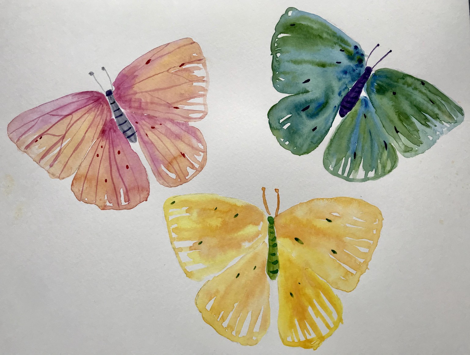 Fun class - image 2 - student project