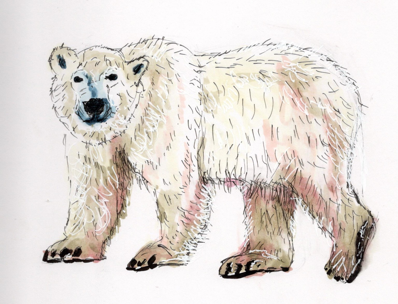 Animals using markers - image 2 - student project