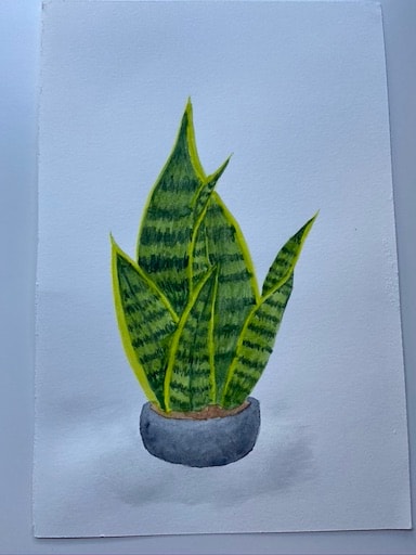 Amy S. - image 2 - student project