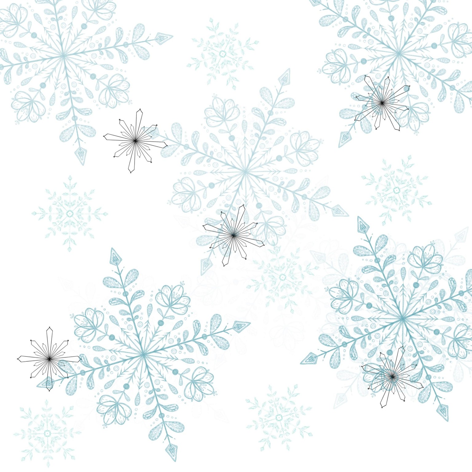 Snowflakes - image 1 - student project