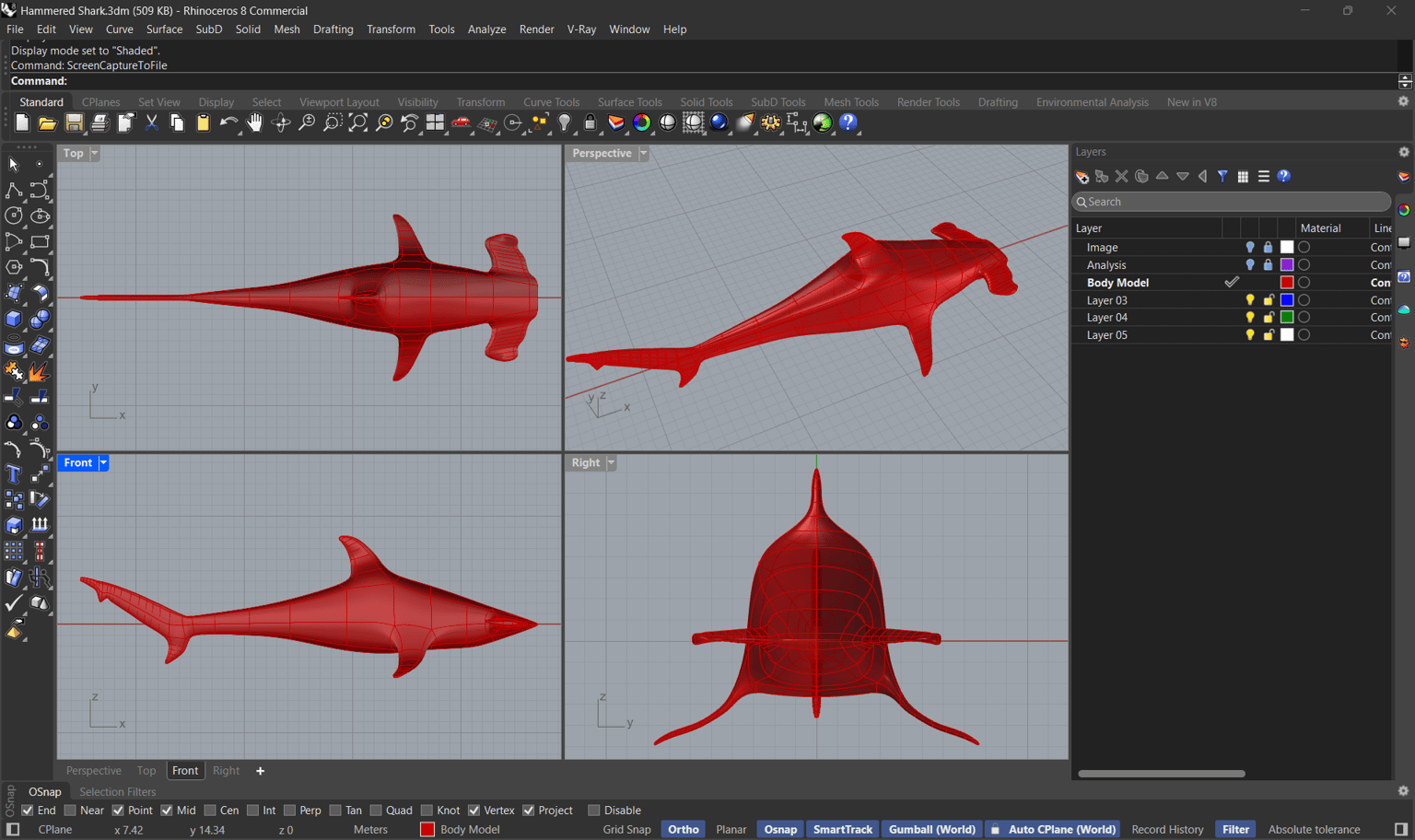 Hammer Head Shark Using SudD Modeling - image 1 - student project