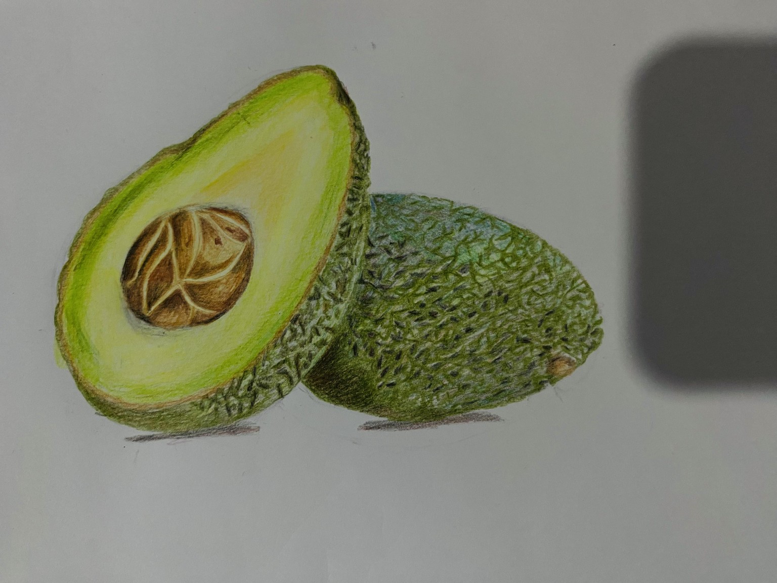 Drawing an Avocado - image 1 - student project
