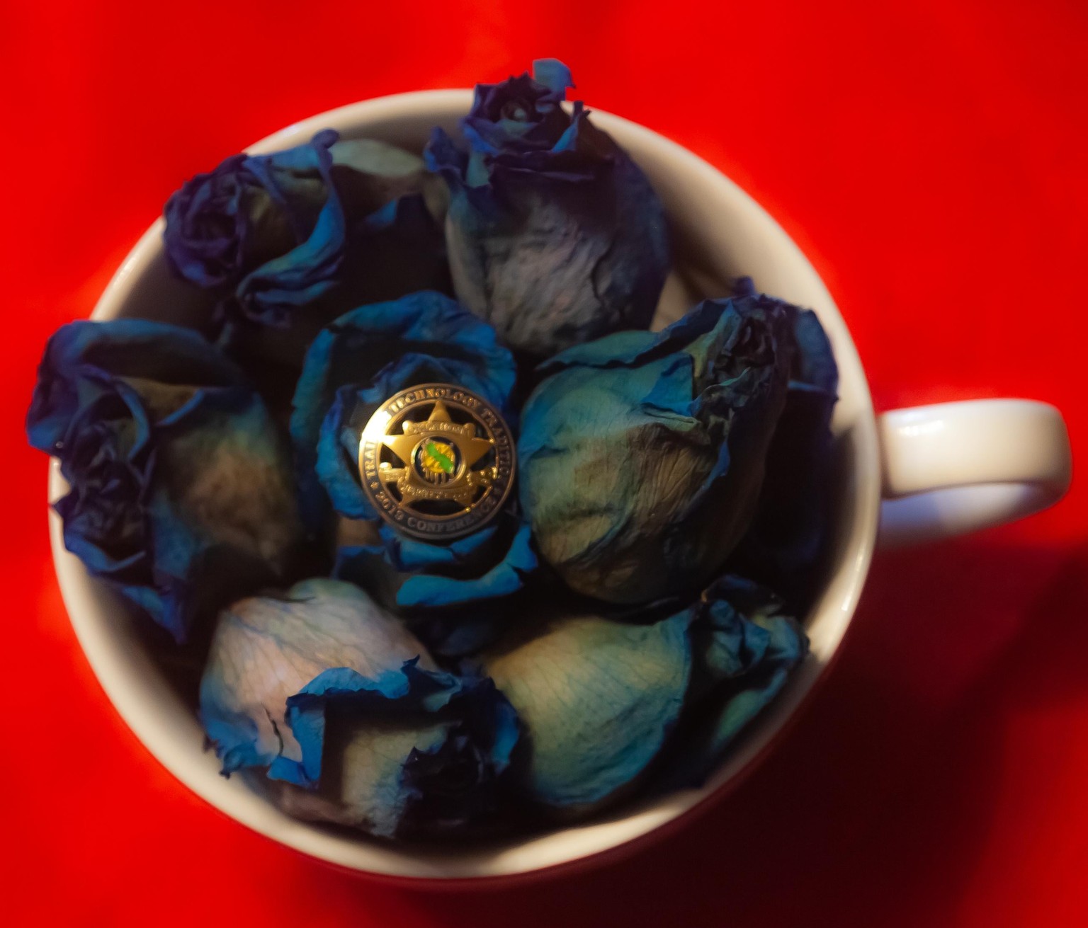Backing The Blue - image 1 - student project