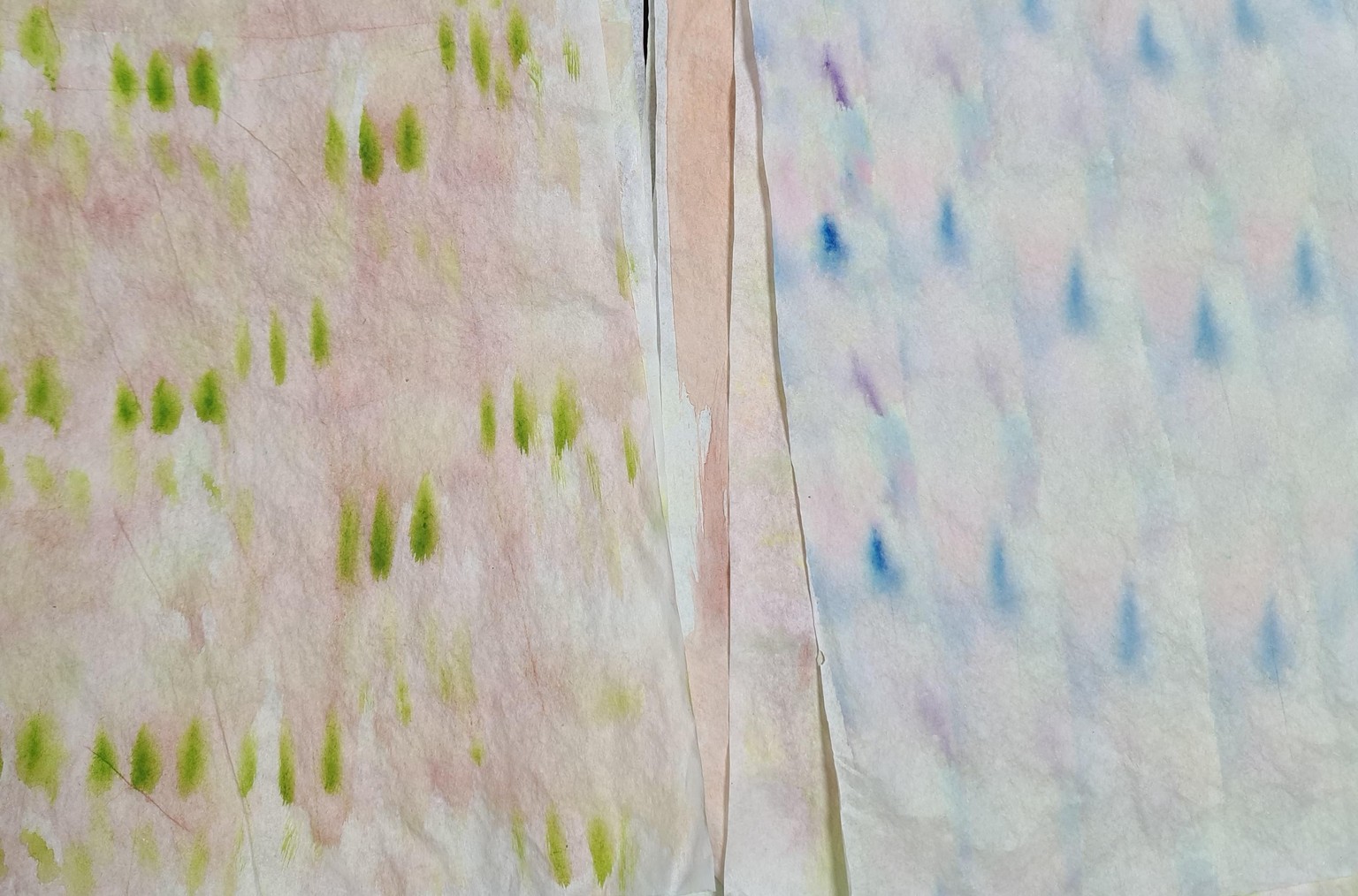 Capas y capas - image 2 - student project