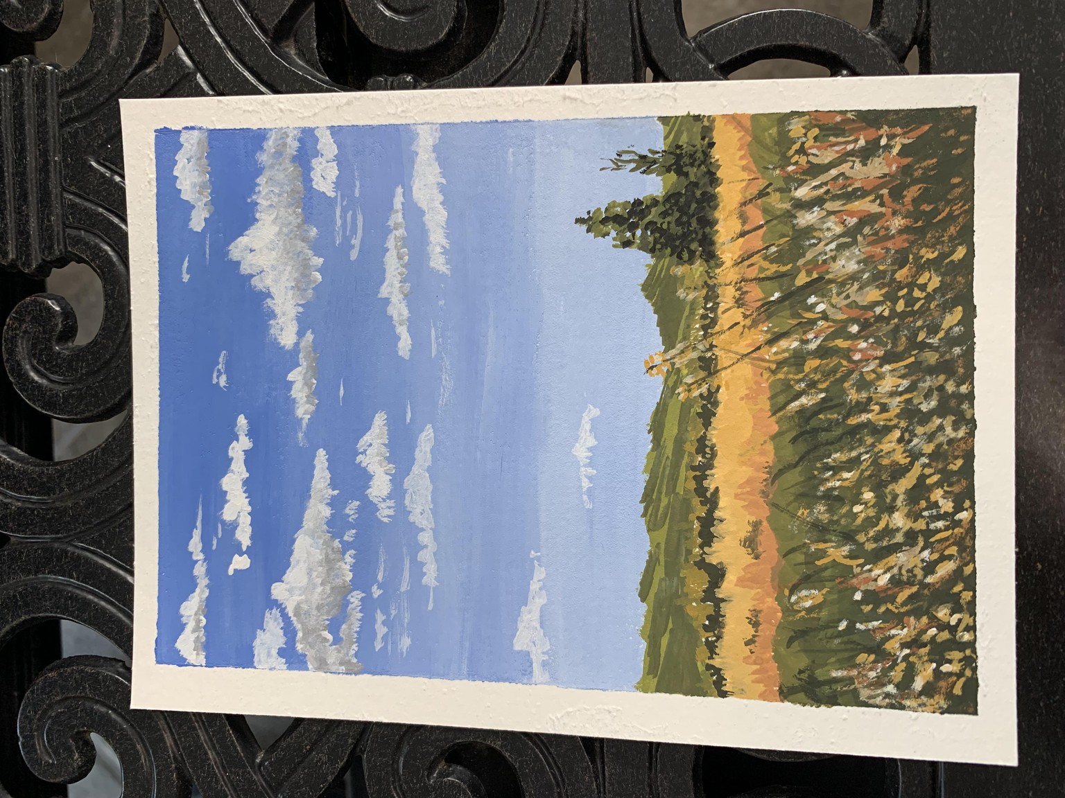 Prairie grasslands - image 1 - student project
