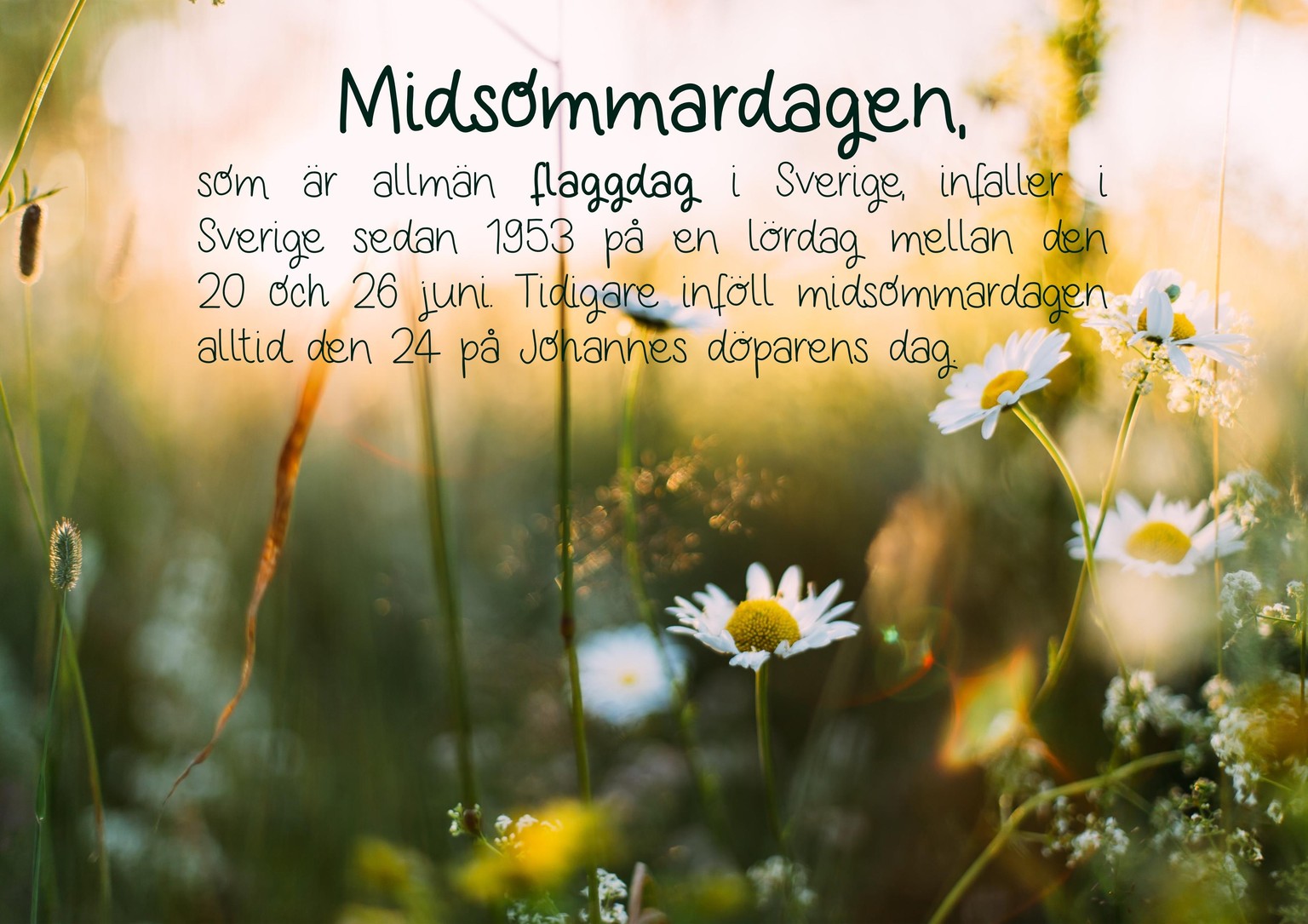 Font lover - image 8 - student project
