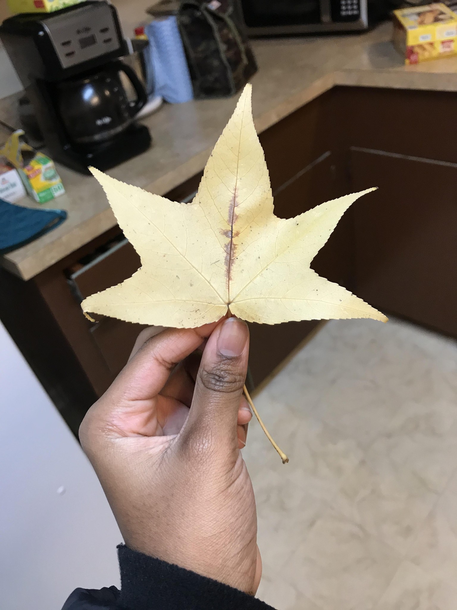 My Fall Wreath. - image 5 - student project