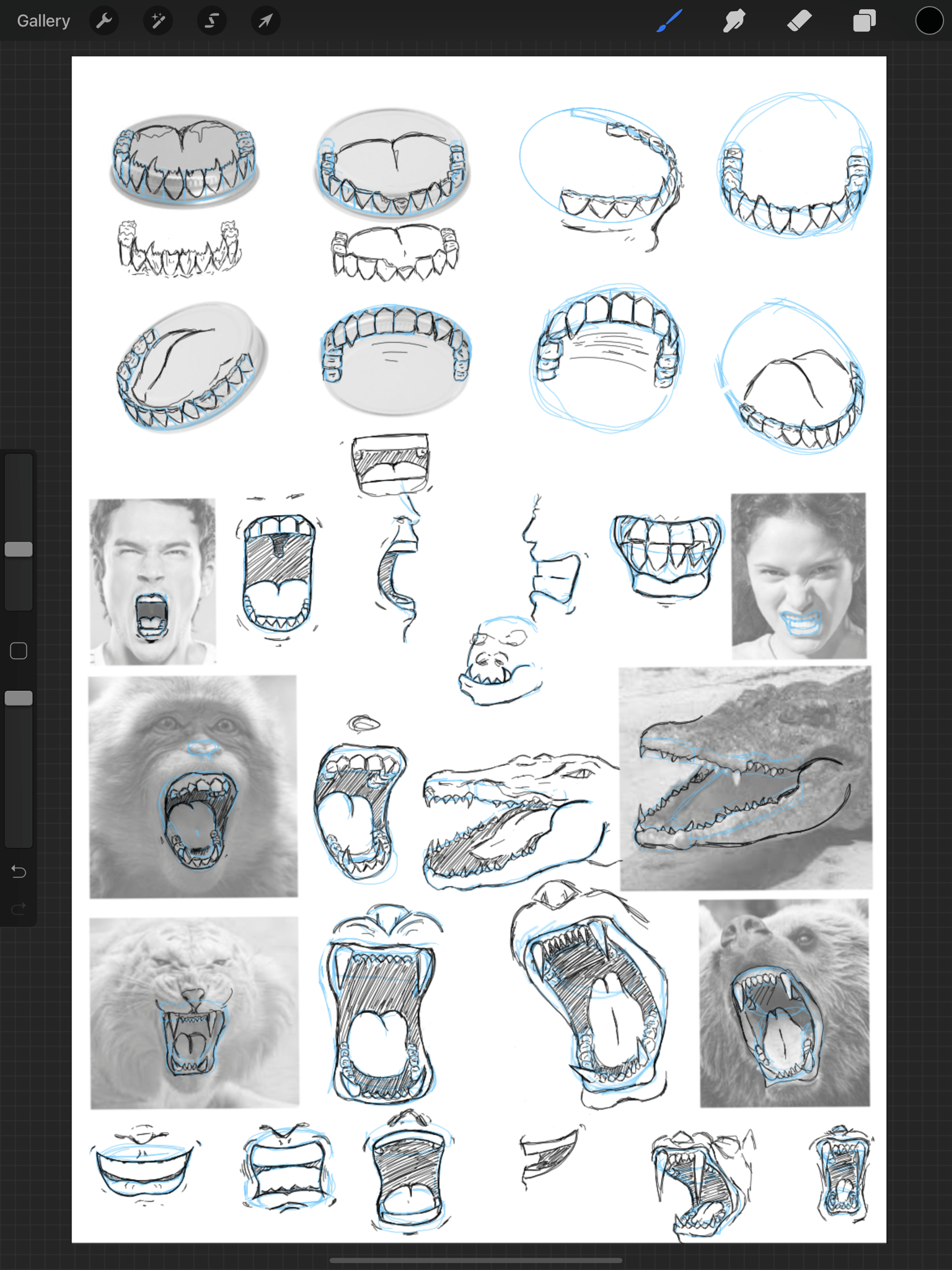 How to draw Faces - image 10 - student project
