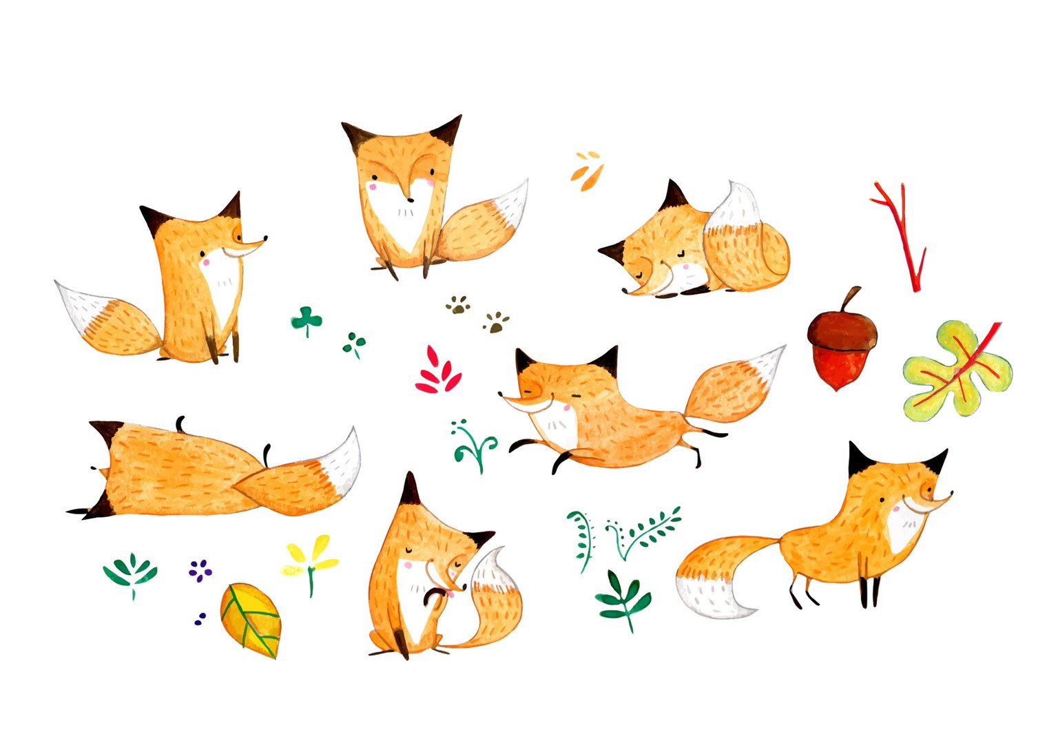 foxes in the forest - image 3 - student project