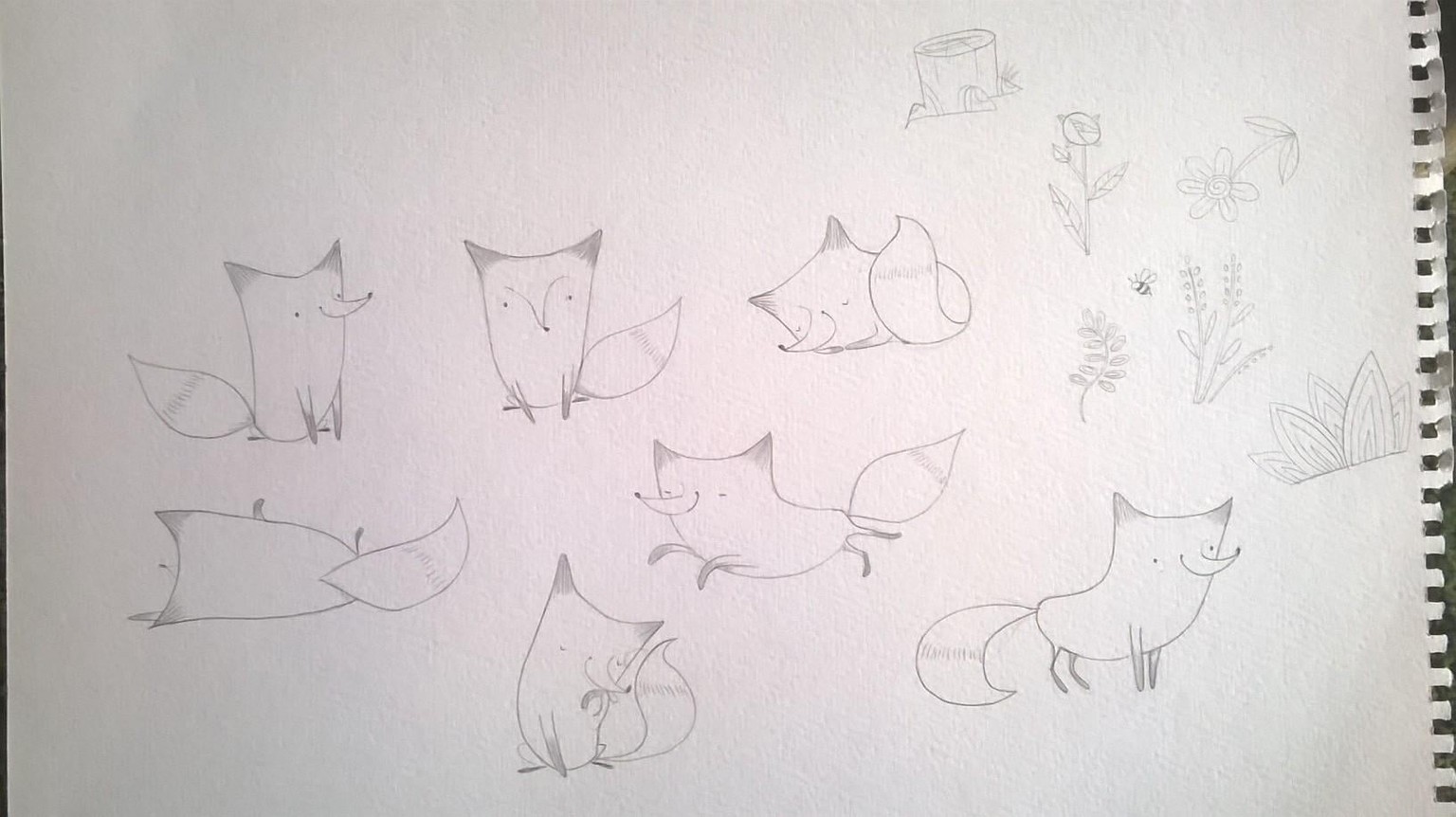 foxes in the forest - image 1 - student project