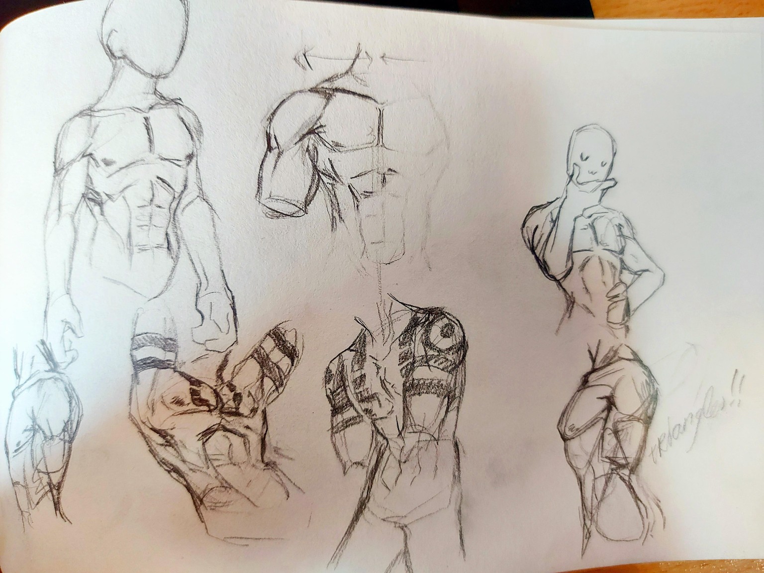 smooch. Torso anatomy practice - image 2 - student project