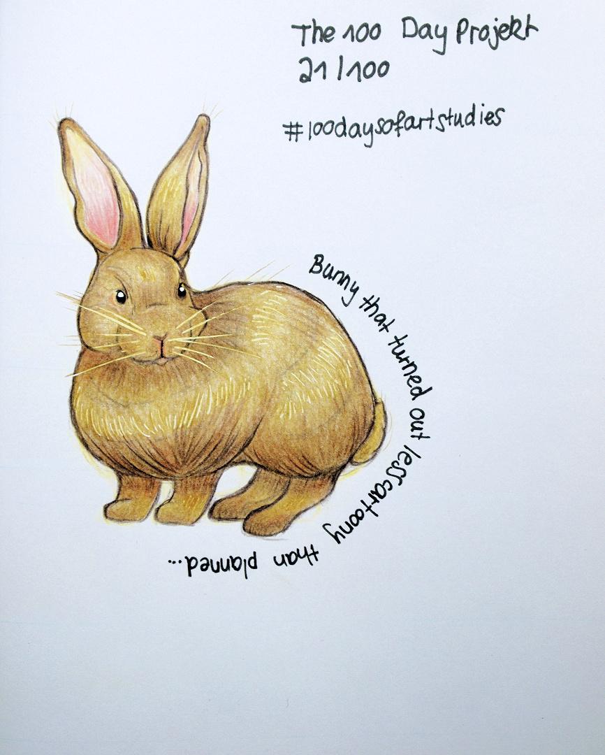 More bunnies to come! - image 4 - student project