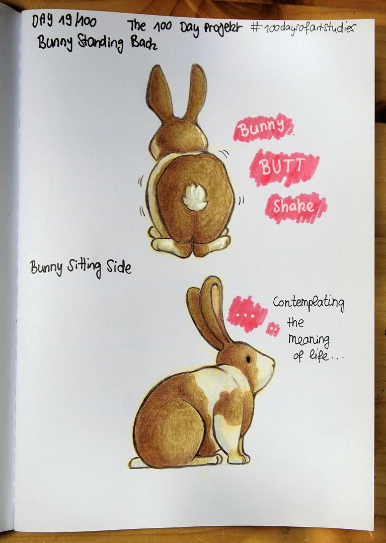 More bunnies to come! - image 2 - student project