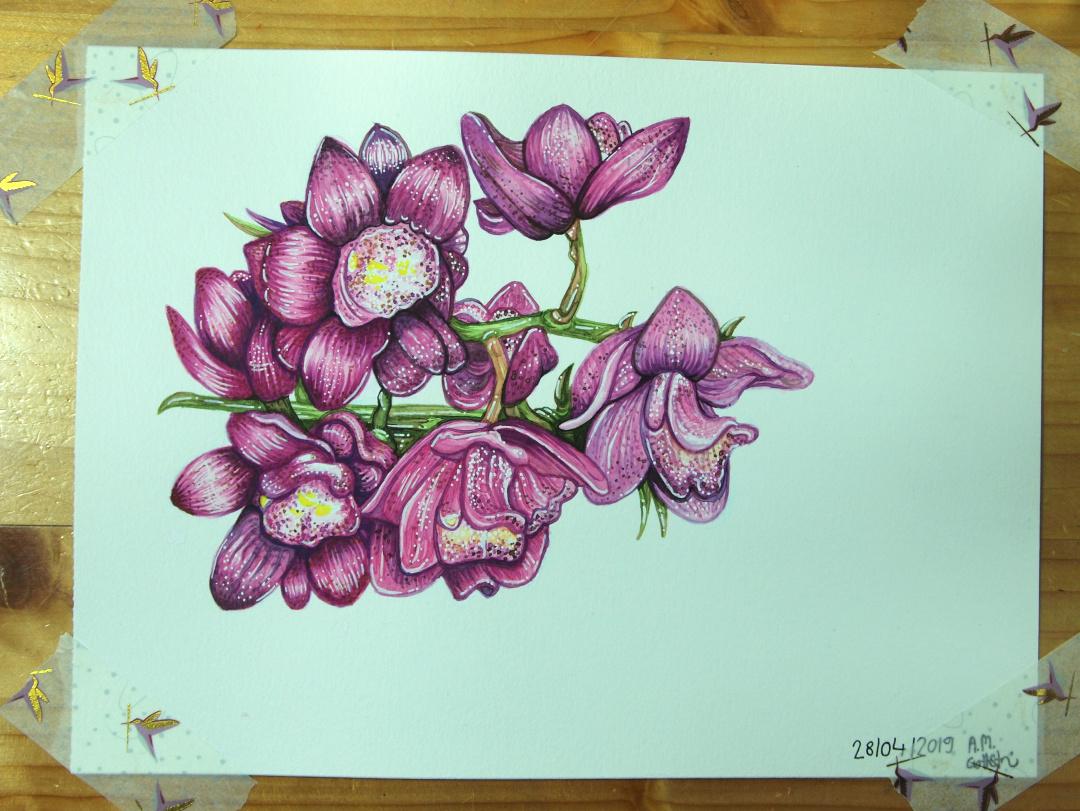 Watercolor Orchids - image 1 - student project
